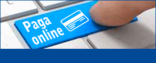 banner PagoOnline01